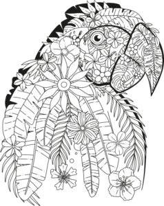 parrot mandala